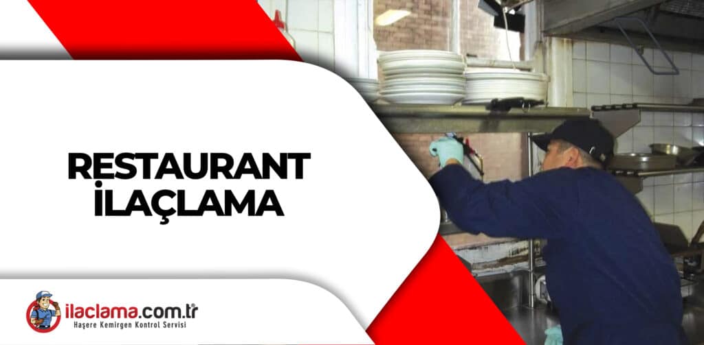 restaurant ilaçlama sunan personel