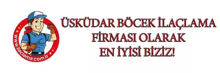 Üsküdar böcek ilaçlama hizmetinde kullanılan profesyonel ekipman ve uzman ekip.