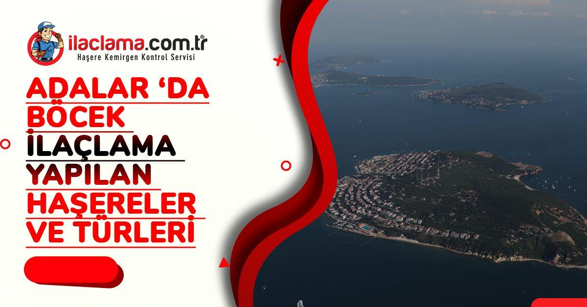 Adalar da Böcek İlaçlama Yapılan Haşereler ve Türleri