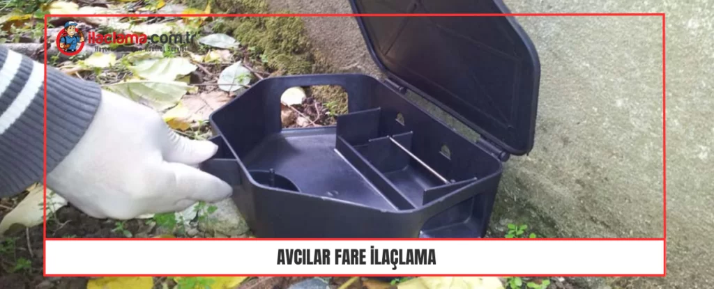 Avcılar fare ilaçlama