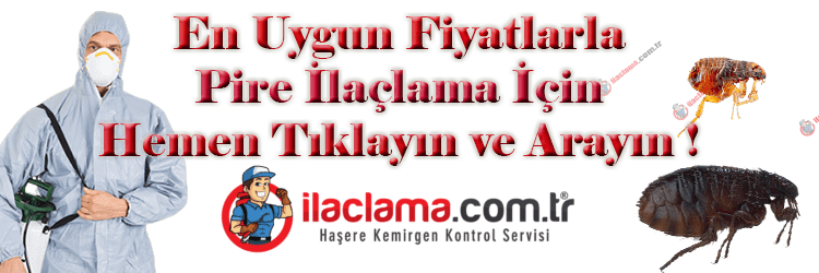pire ilaçlama hizmeti için tüm ekipmanlarını giyen ilaçlama personeli
