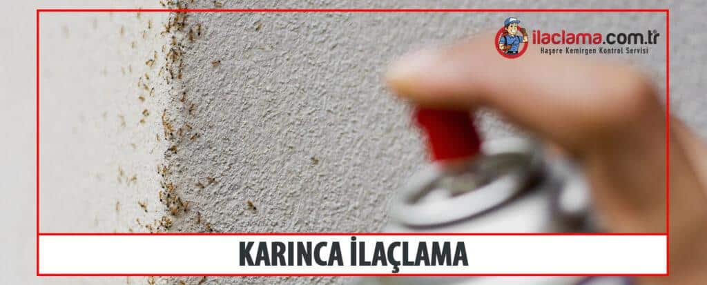 karınca ilaçlama