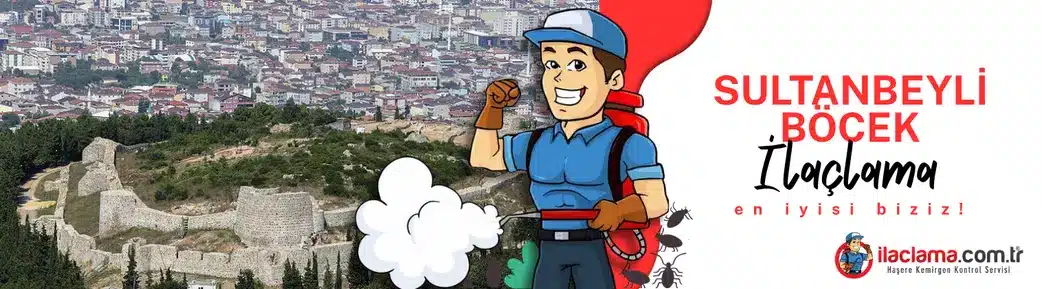 sultanbeyli böcek ilaçlama hizmeti