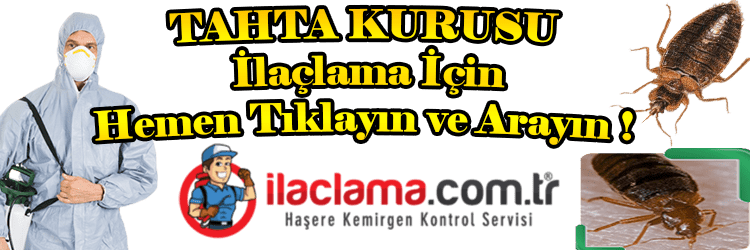 tahta-kurusu, tahta-kurusu-ilaclama, tahta-kurusu-nasıl-olur