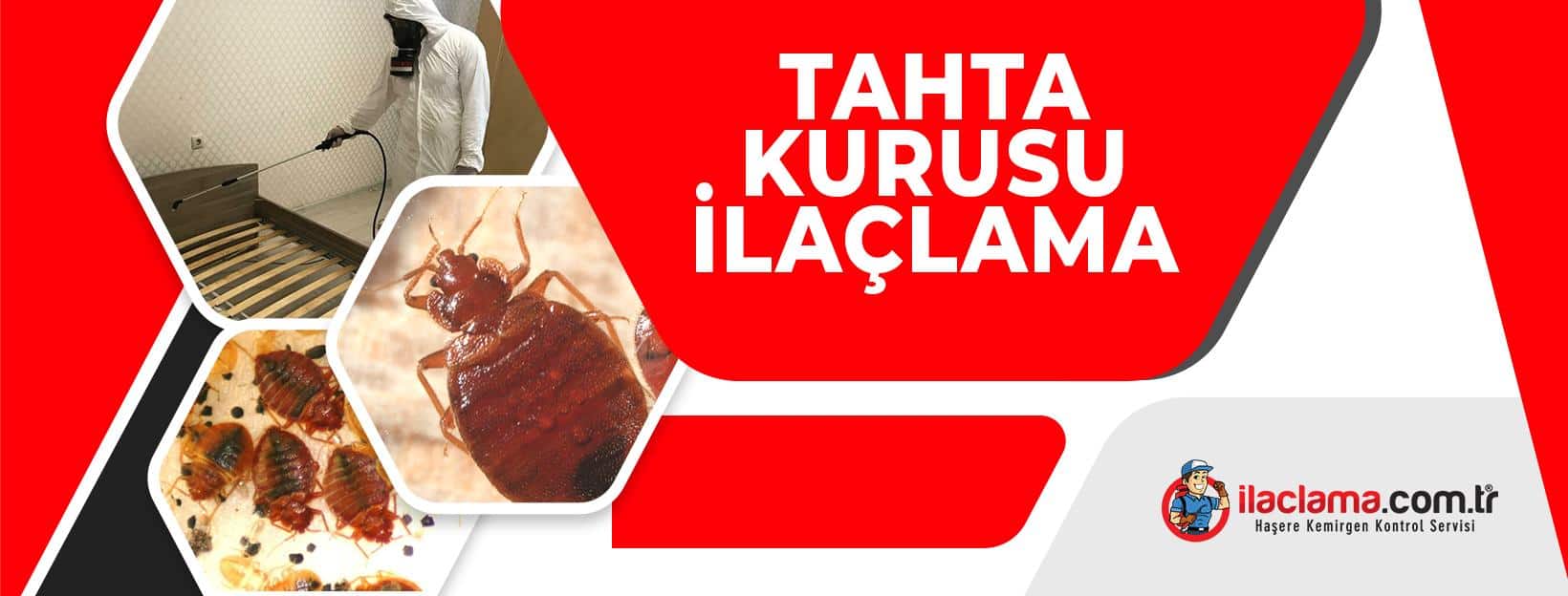 tahta kurusu ilaçlama hizmeti yatak ve odaya uygulanıyor