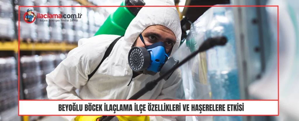 Beyoğlu Böcek ilaçlama İlçe özellikleri ve Haşerelere Etkisi