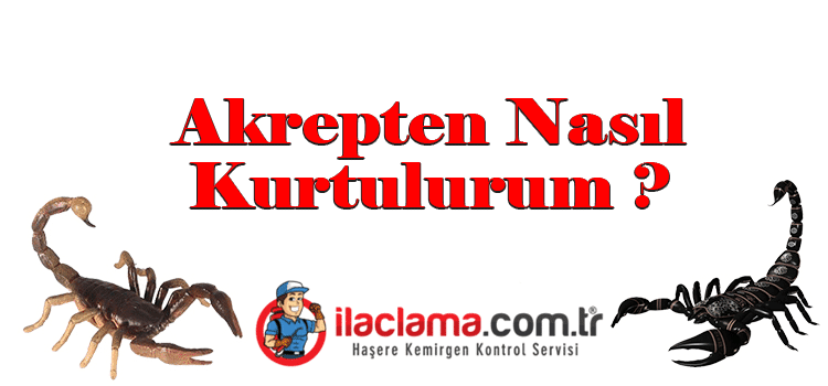 akrep ilaclama akrep nerede yasar 100 etkili ilaclama com tr