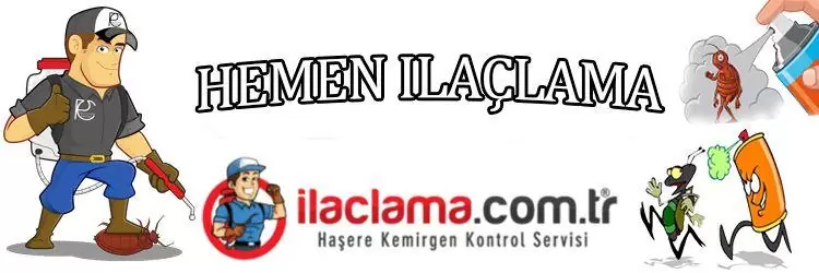 böcek-ilaçlama, böcek ilaçlama
