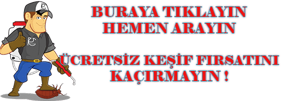 ilaçlama-firmaları-böcek