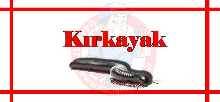 Vebi Akrep Ciyan Kirkayak Ilaci Draker Trendyol