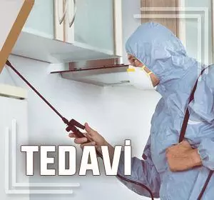 ilaçlama tedavi aşaması