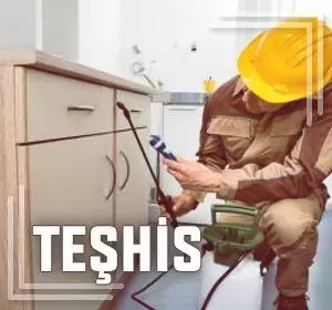 ilaçlama teşhis aşaması