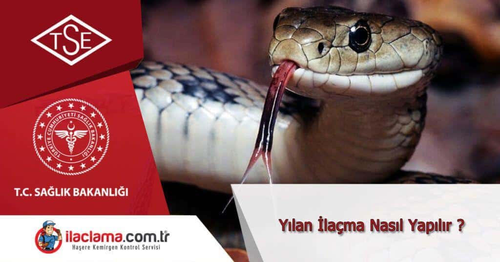 yılan türleri bilgi » istanbul böcek ilaçlama