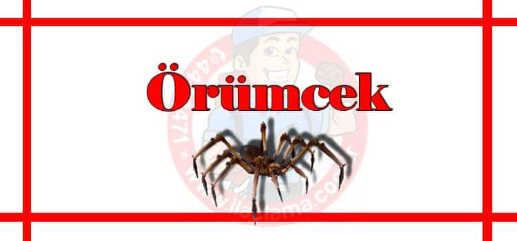 örümcek-ilaçlama-istanbul, örümcek-ilaçlama-fiyat