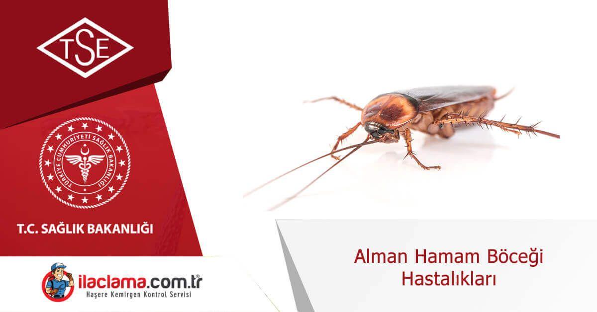 alman-hamamböceği-hastalıkları