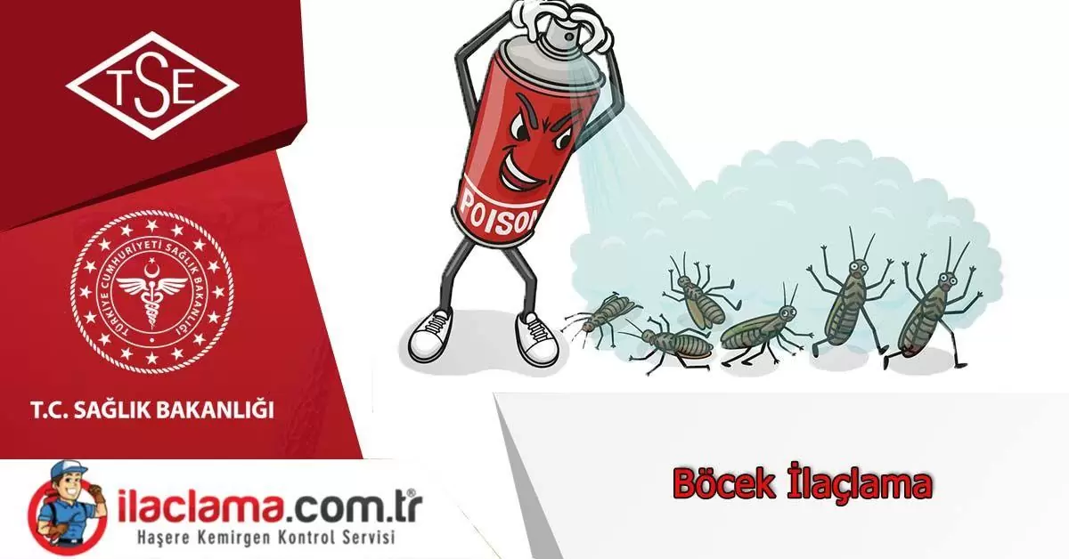 böcek-ilaçlama-istanbul, böcek-ilaçlama-fiyatları