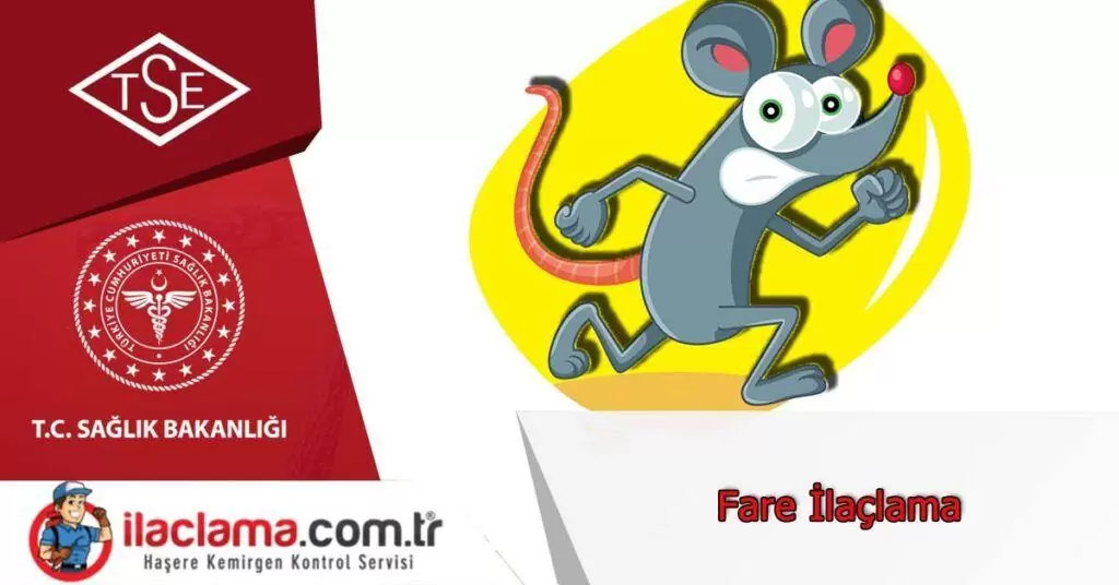 fare-ilaçlama-istanbul, fare-ilaçlama-fiyat