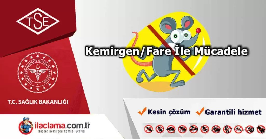 etkili fare ile mücadele