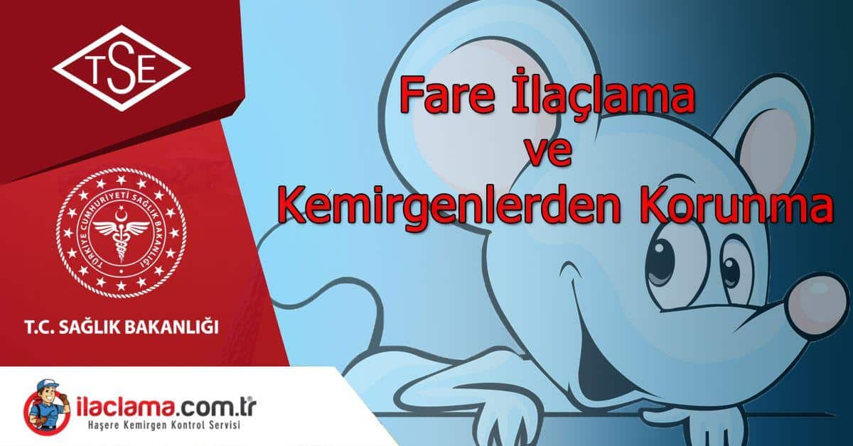 fareler eve nasil girer fare evde nereye saklanir ilaclama com tr