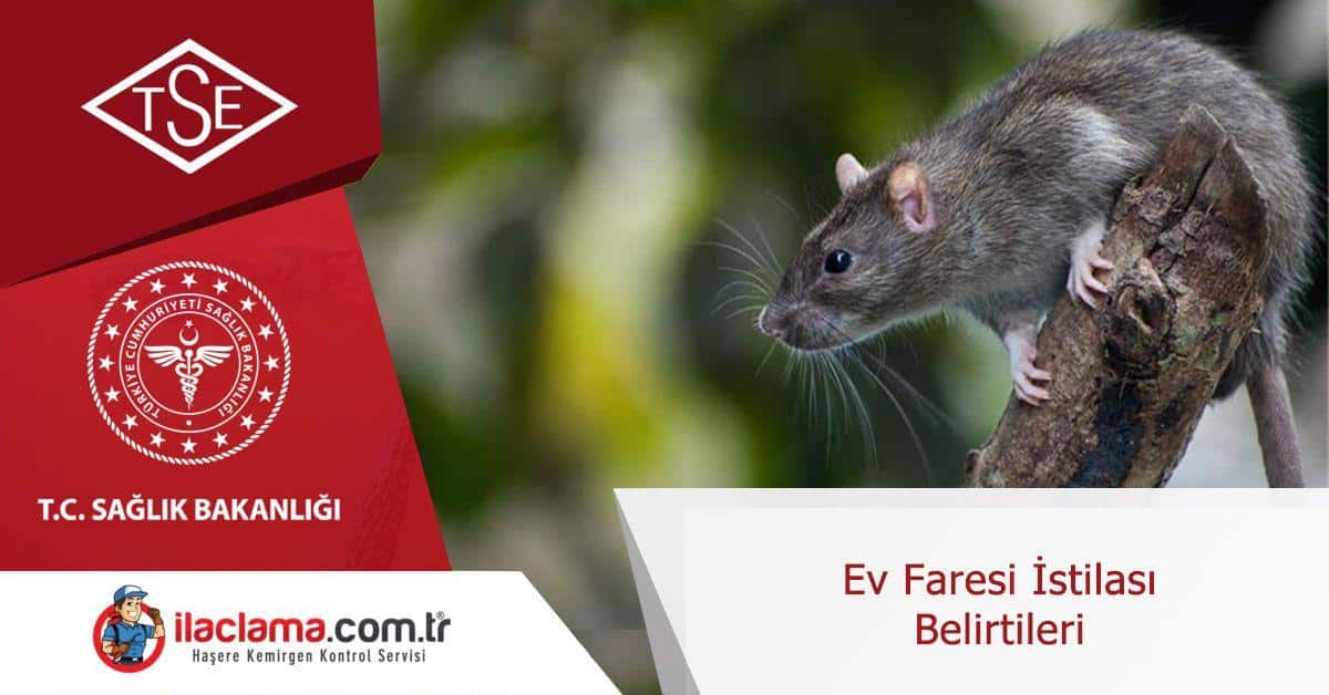 ev-faresi-istilası-belirtileri