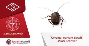 oryantal-hamamböceği-istilası-belirtileri