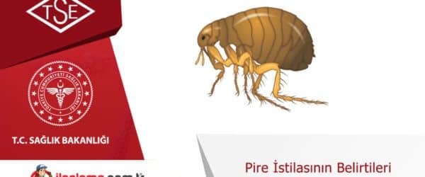 Pire istilasının belirtileri
