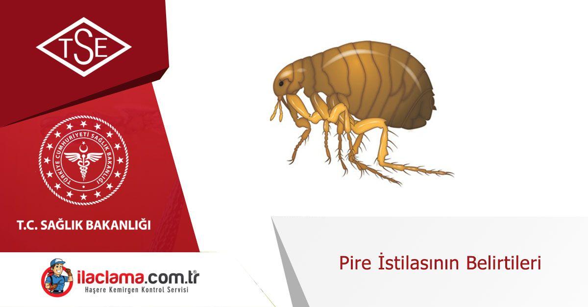 pire-istilasının-belirtileri