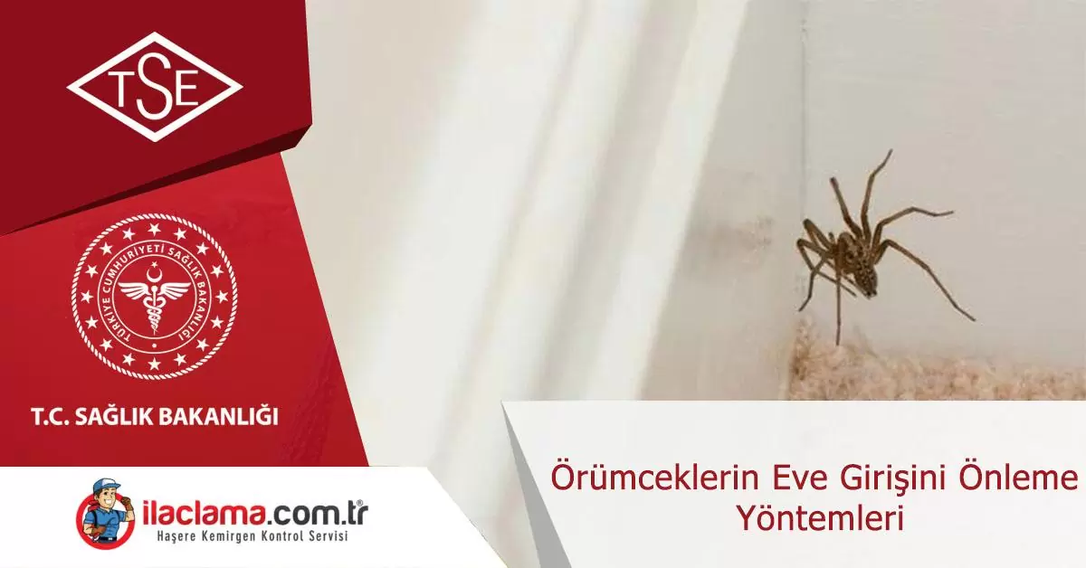 örümceklerin-eve-girişini-önleme-yöntemleri