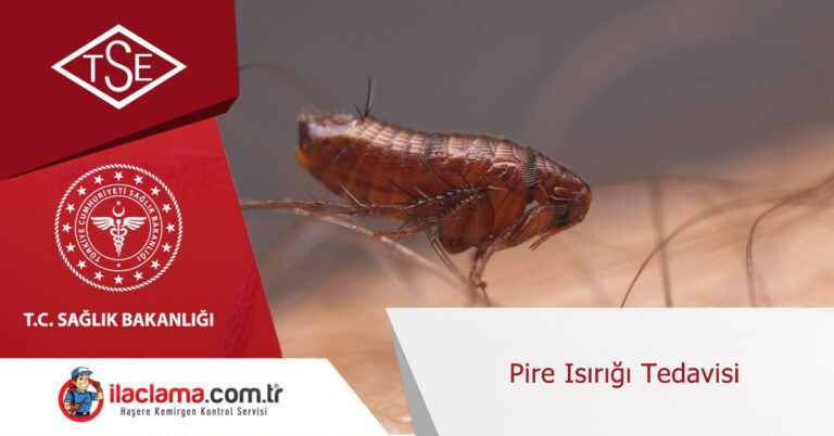 pire türleri bilgi » istanbul böcek ilaçlama