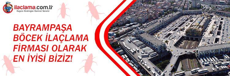 Bayrampaşa böcek ilaçlama firması