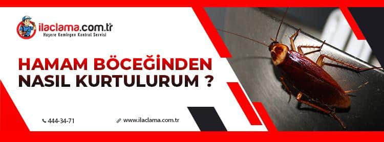 hamam böceğinden nasıl kurtulurum