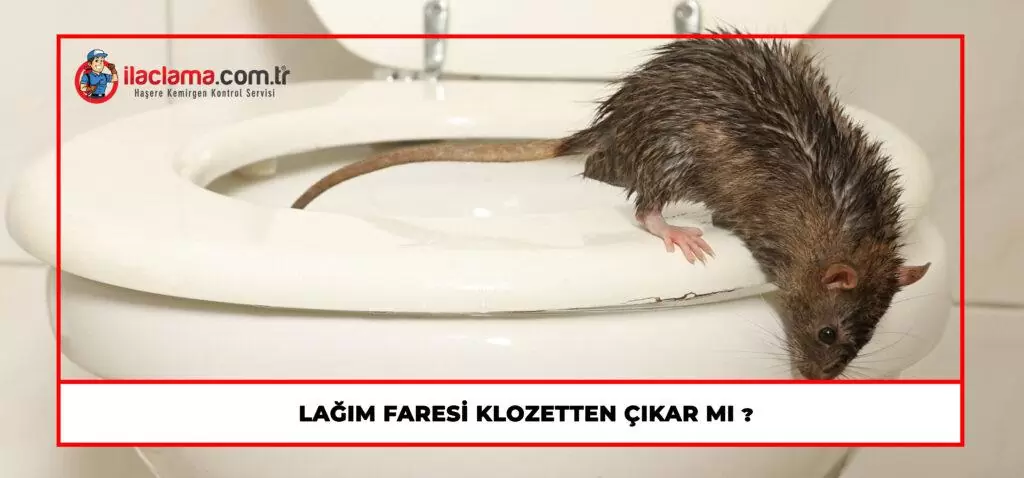 tuvaletten fare çıkması