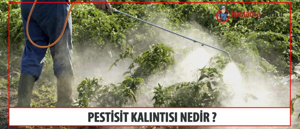 pestisit kalıntısı nedir