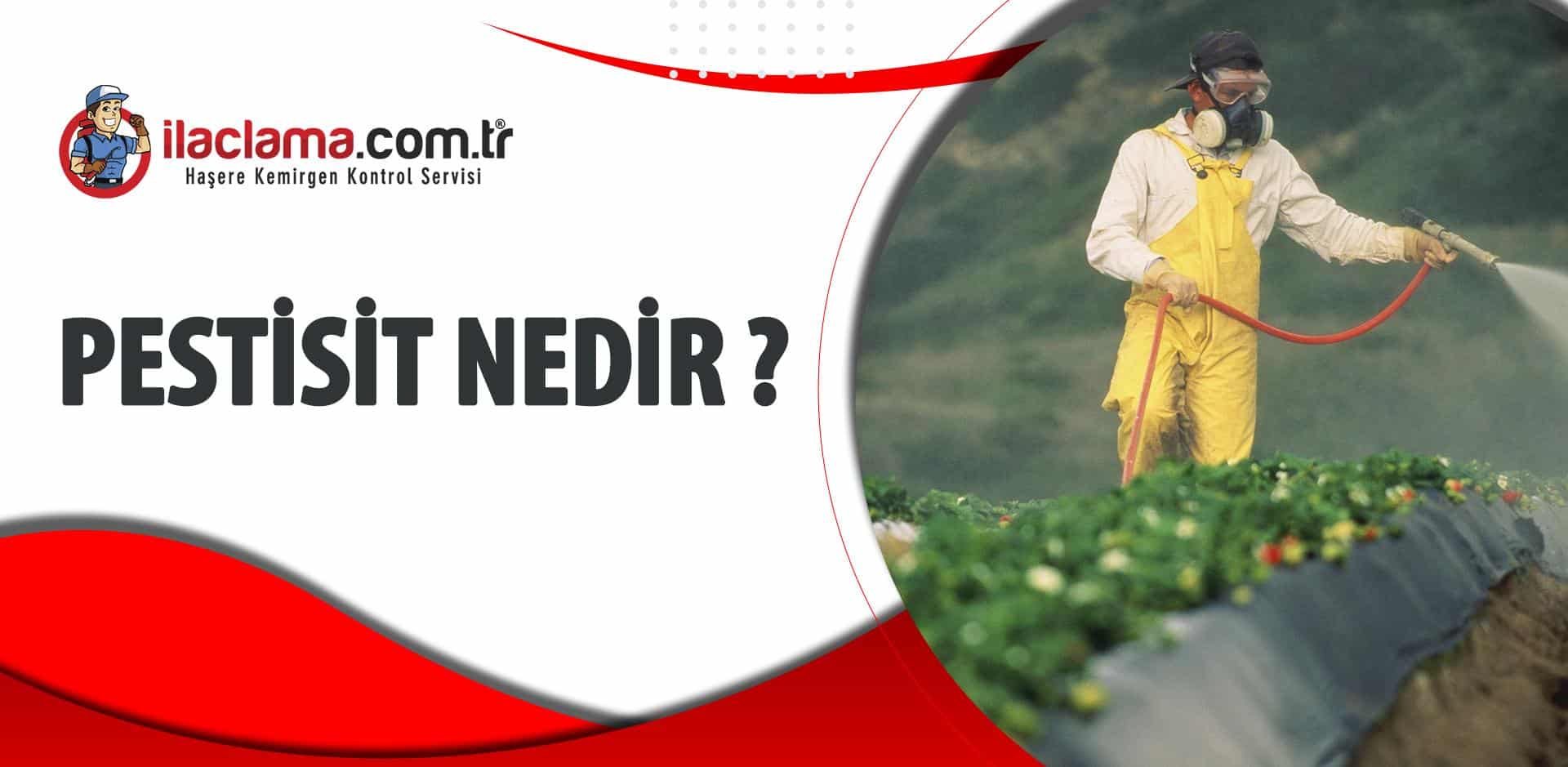 pestisit nedir