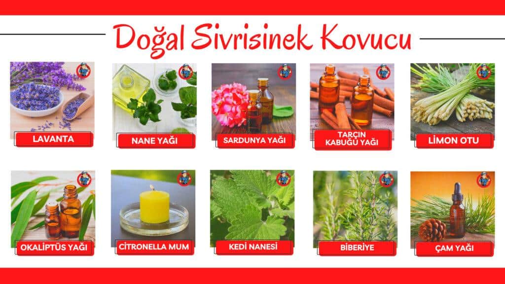 doğal sivrisinek kovucu