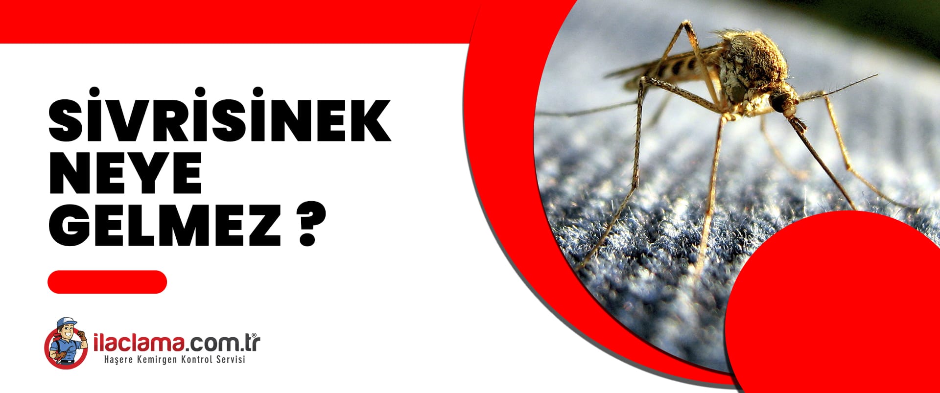 sivrisinek neye gelmez