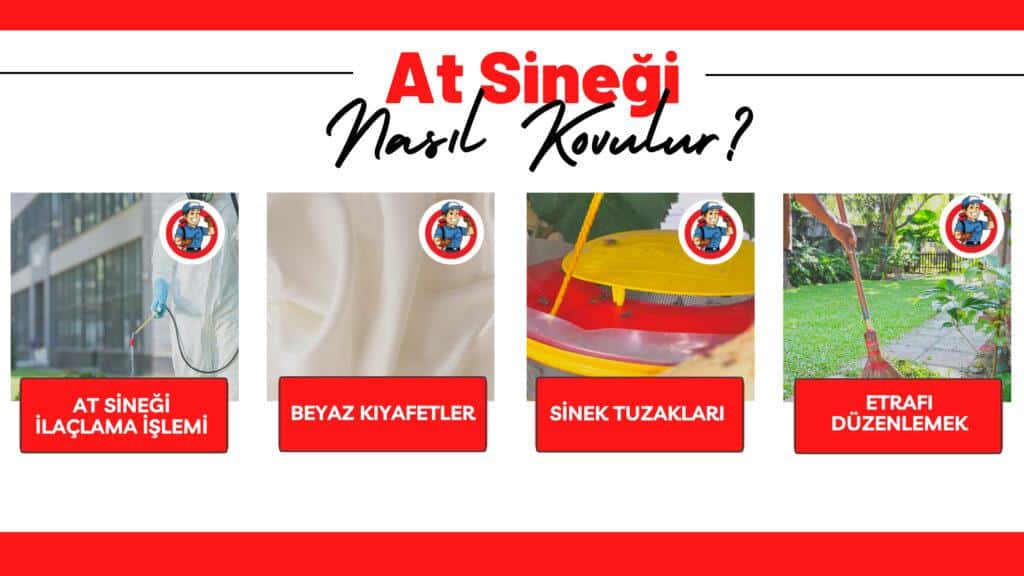 at sineği nasıl kovulur