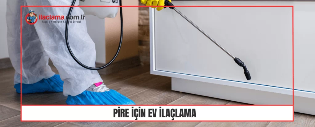 evde pire ilaçlama hizmeti sunan ilaçlama teknisyeni