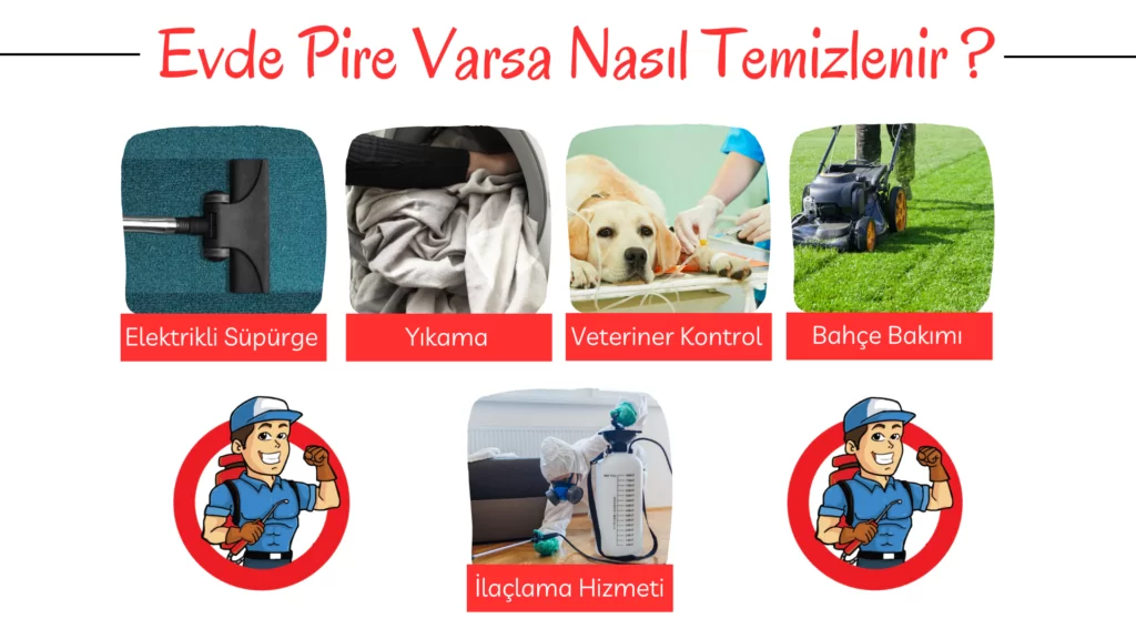 evde pire temizlemek için kullanılabilecek tüm yöntemler