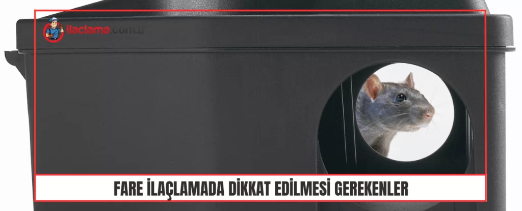 Fare tuzakları ile İlaçlamada Dikkat Edilmesi Gerekenler