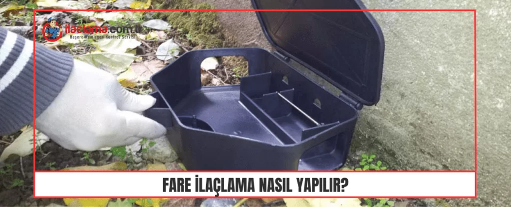 fare istasyonu ile fare ilaçlama hizmeti