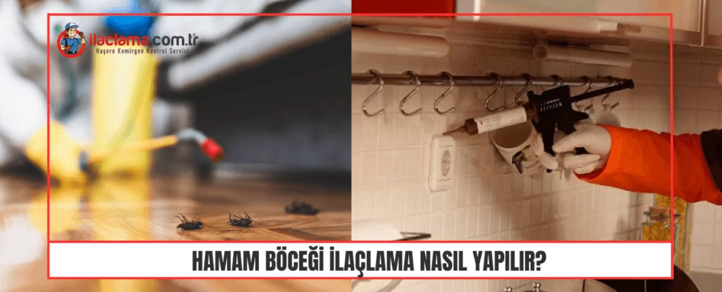 hamam böceği ilaçlama yöntemi sıvı ve jel ilaçlama salon ve mutfakta uygulanıyor