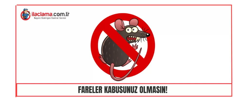 fareler kabusunuz olmasın