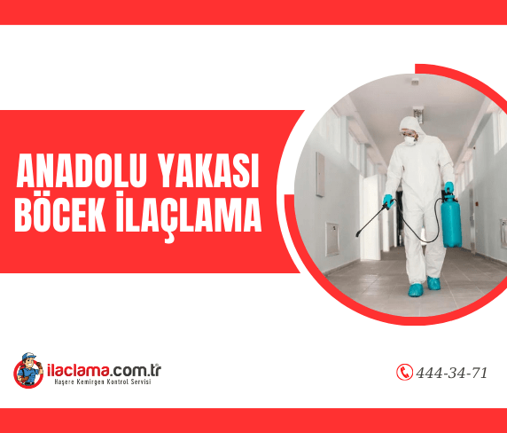anadolu yakası böcek ilaçlama nerdeyiz