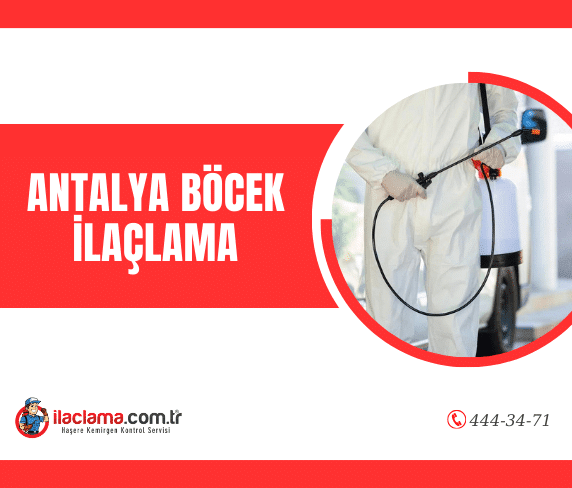 antalya böcek ilaçlama