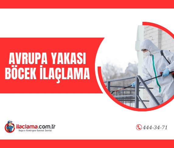 avrupa yakası böcek ilaçlama nerdeyiz