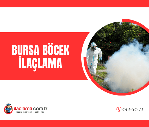 bursa böcek ilaçlama