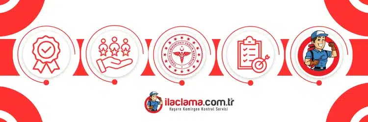 ilaçlama servisi seçerken dikkat edilmesi gereken unsurlar görseli
