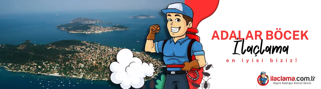 adalar böcek ilaçlama hizmeti