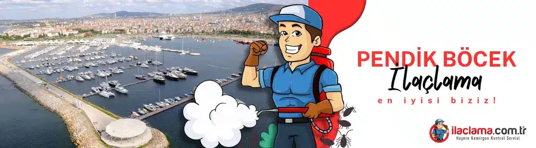 pendik böcek ilaçlama hizmeti
